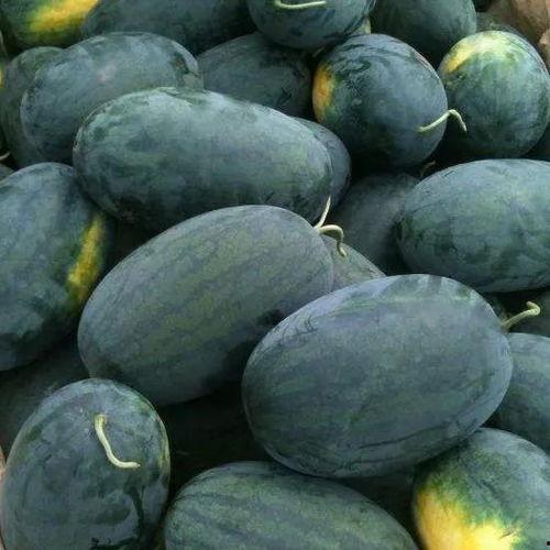 网红黑瓜吃瓜入口,揭秘网红圈幕后真相